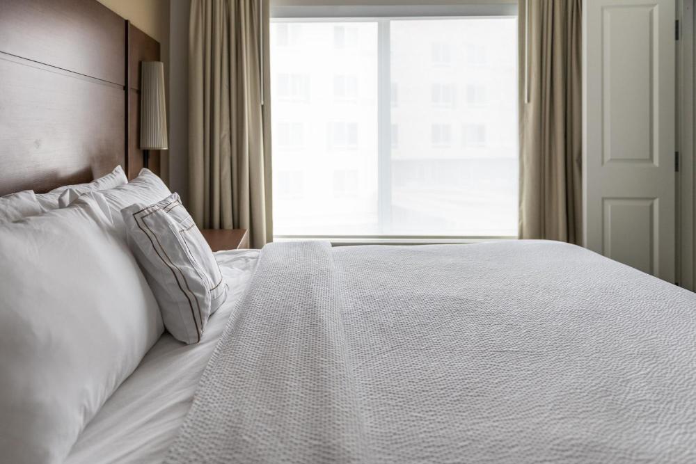 One-Bedroom King Suite with Sofa Bed interior